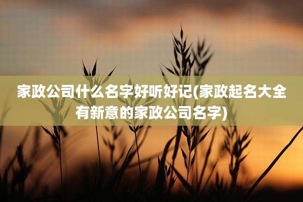 家政公司什么名字好听好记(家政起名大全有新意的家政公司名字)