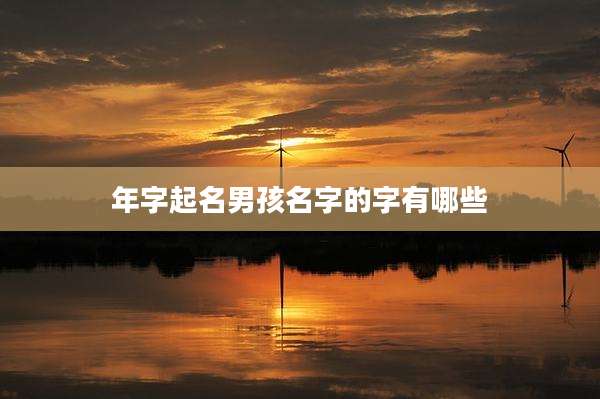年字起名男孩名字的字有哪些