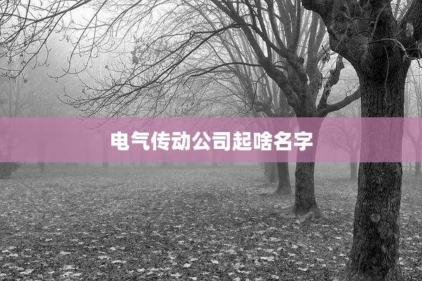 电气传动公司起啥名字