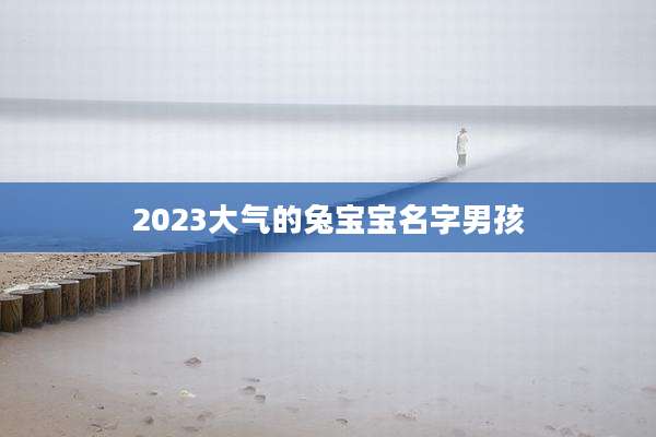 2023大气的兔宝宝名字男孩