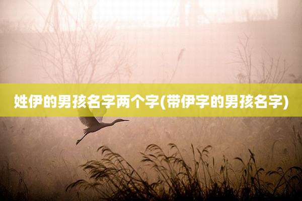 姓伊的男孩名字两个字(带伊字的男孩名字)