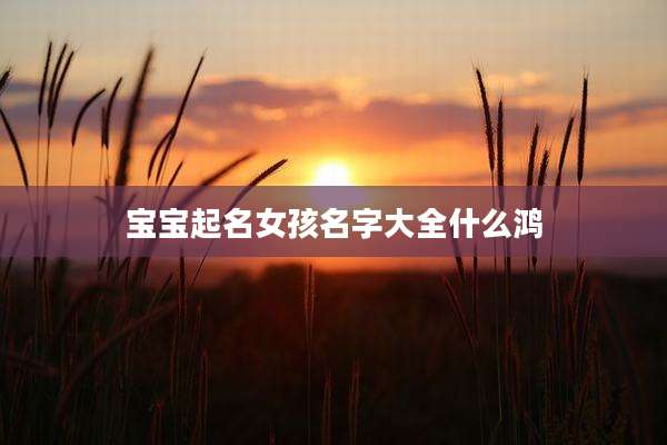宝宝起名女孩名字大全什么鸿