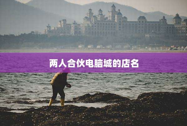 两人合伙电脑城的店名