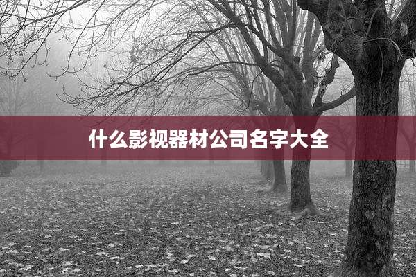 什么影视器材公司名字大全