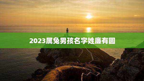 2023属兔男孩名字姓廉有圆