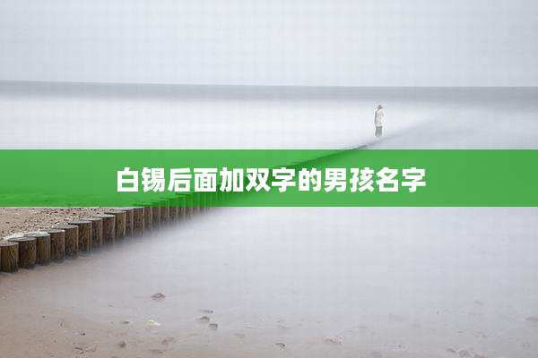 白锡后面加双字的男孩名字