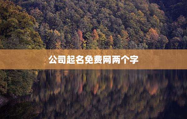 公司起名免费网两个字