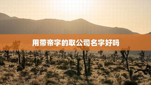 用带帝字的取公司名字好吗