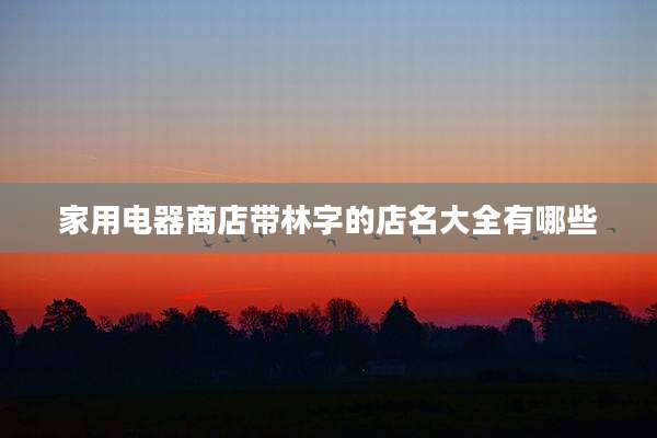 家用电器商店带林字的店名大全有哪些