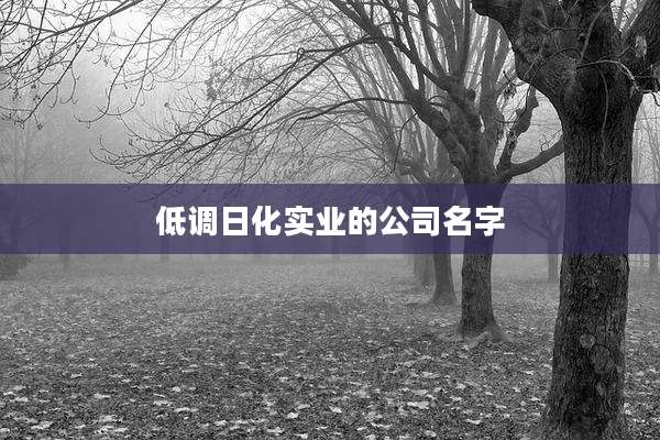 低调日化实业的公司名字