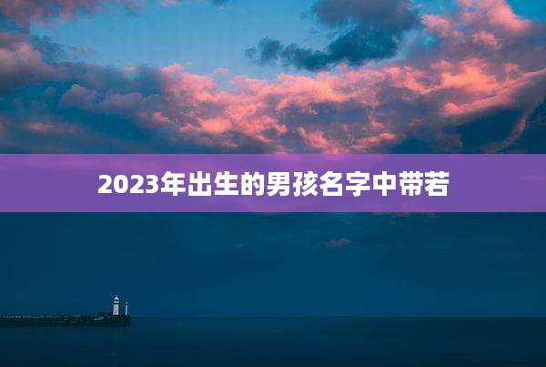2023年出生的男孩名字中带若