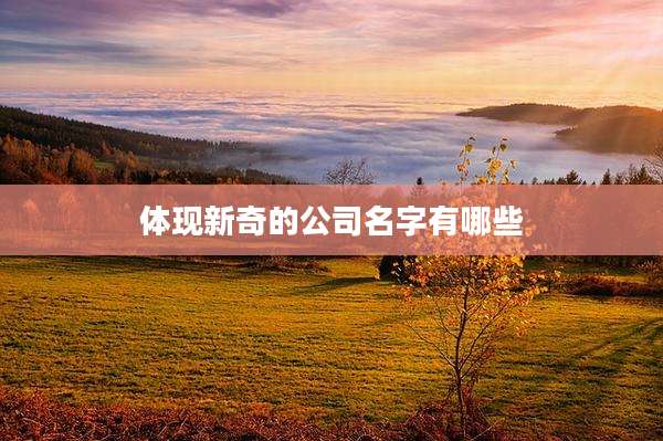 体现新奇的公司名字有哪些