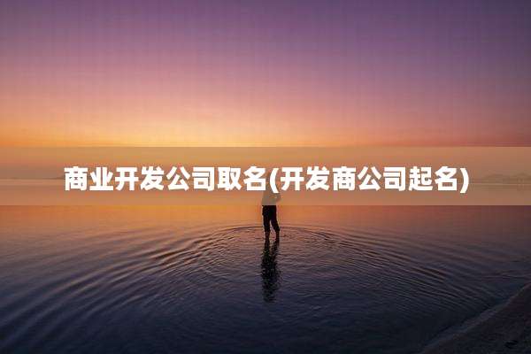 商业开发公司取名(开发商公司起名)