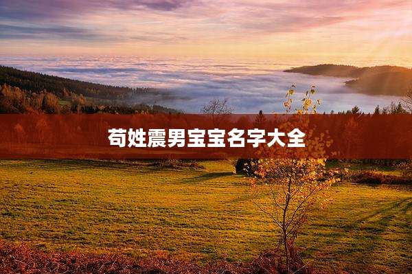 苟姓震男宝宝名字大全