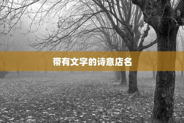 带有文字的诗意店名