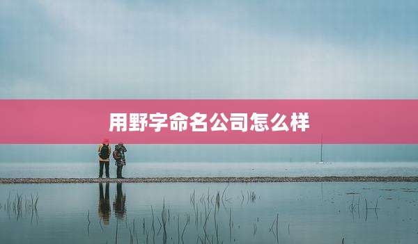用野字命名公司怎么样