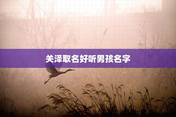 关泽取名好听男孩名字
