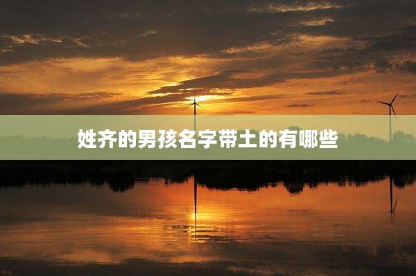 姓齐的男孩名字带土的有哪些