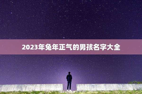 2023年兔年正气的男孩名字大全