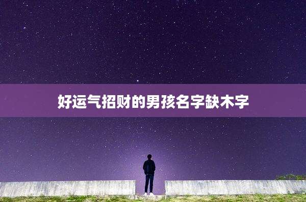 好运气招财的男孩名字缺木字