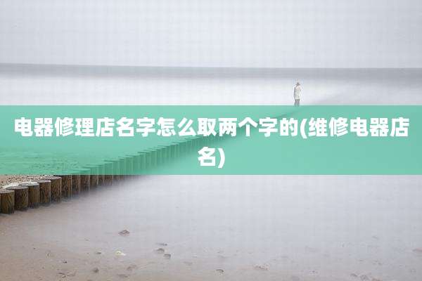 电器修理店名字怎么取两个字的(维修电器店名)