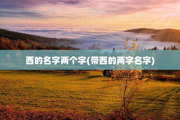 西的名字两个字(带西的两字名字)