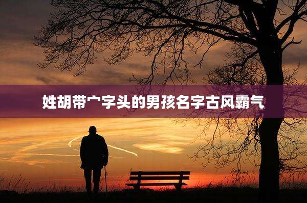 姓胡带宀字头的男孩名字古风霸气