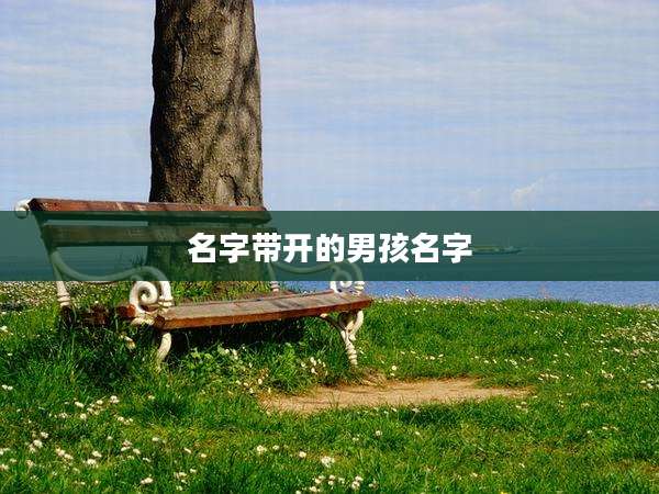 名字带开的男孩名字