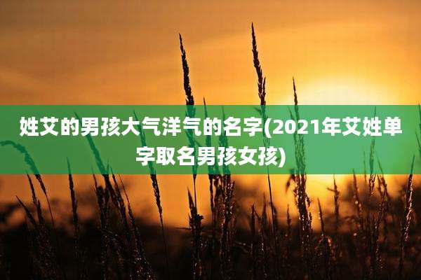 姓艾的男孩大气洋气的名字(2021年艾姓单字取名男孩女孩)