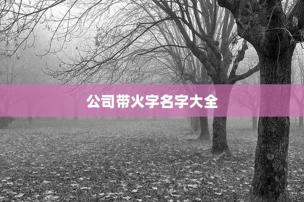 公司带火字名字大全
