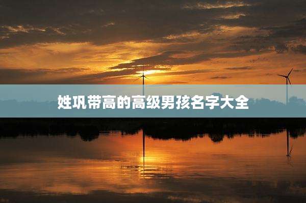 姓巩带高的高级男孩名字大全