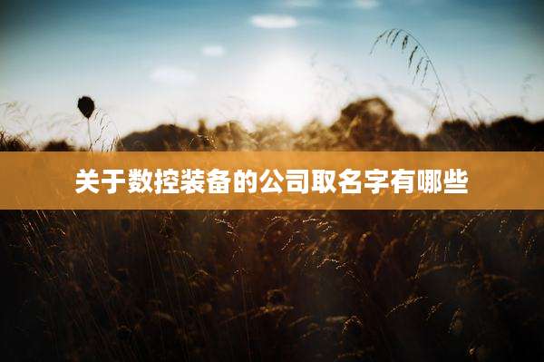 关于数控装备的公司取名字有哪些
