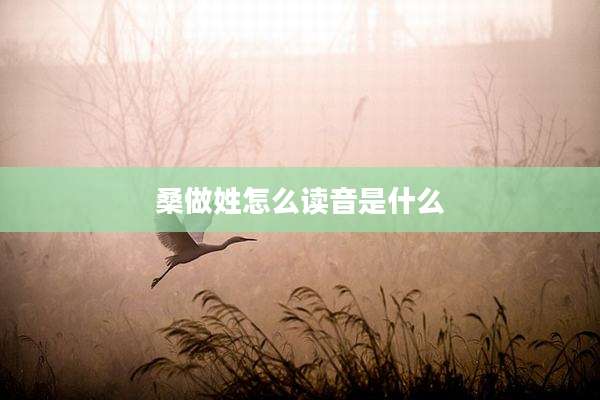 桑做姓怎么读音是什么