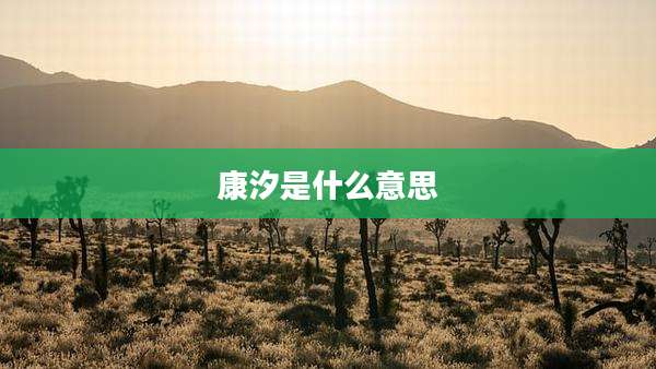 康汐是什么意思