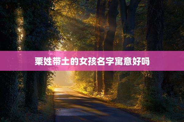 粟姓带土的女孩名字寓意好吗
