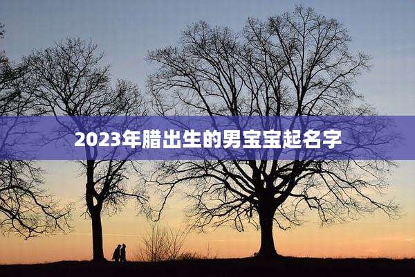 2023年腊出生的男宝宝起名字