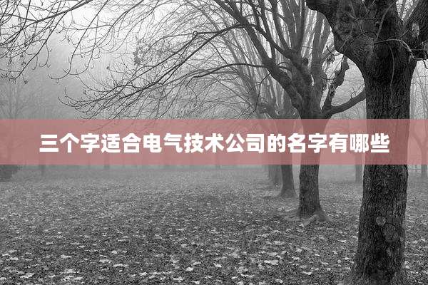 三个字适合电气技术公司的名字有哪些