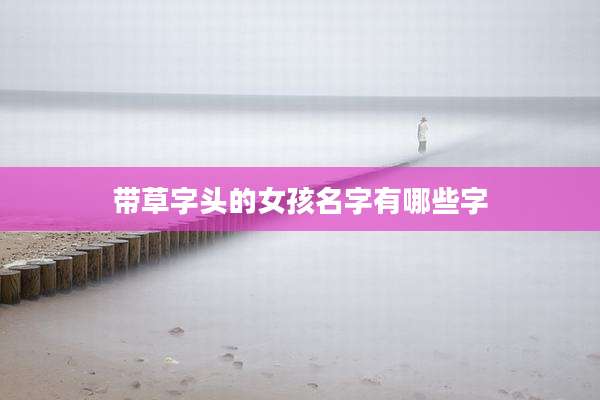 带草字头的女孩名字有哪些字