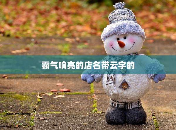 霸气响亮的店名带云字的