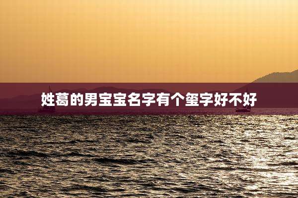 姓葛的男宝宝名字有个玺字好不好