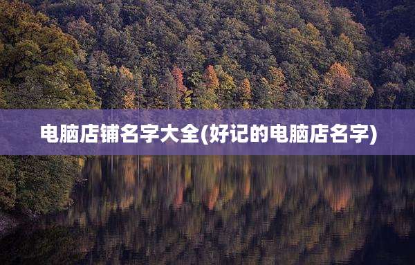 电脑店铺名字大全(好记的电脑店名字)