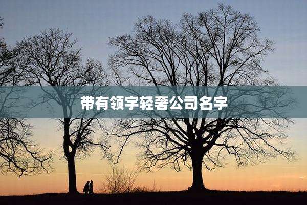带有领字轻奢公司名字