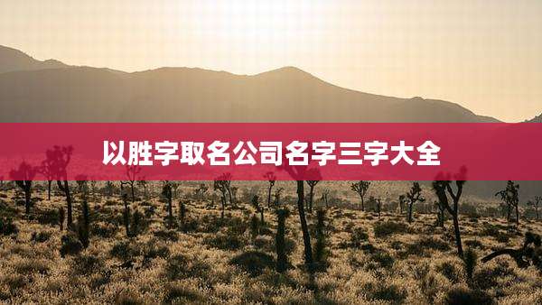以胜字取名公司名字三字大全