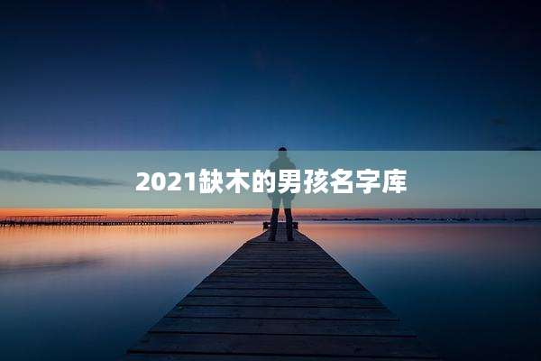 2021缺木的男孩名字库