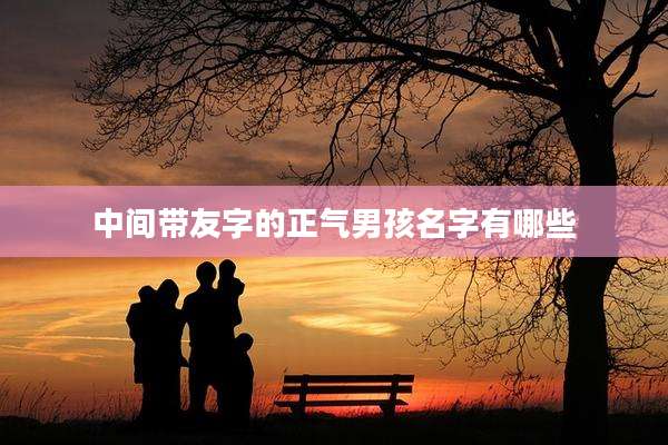 中间带友字的正气男孩名字有哪些