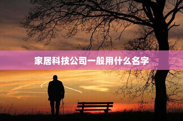 家居科技公司一般用什么名字