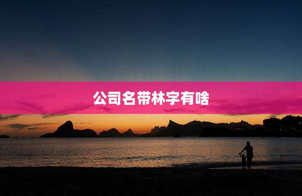公司名带林字有啥