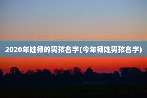 2020年姓杨的男孩名字(今年杨姓男孩名字)