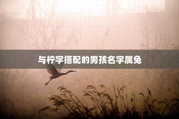 与柠字搭配的男孩名字属兔