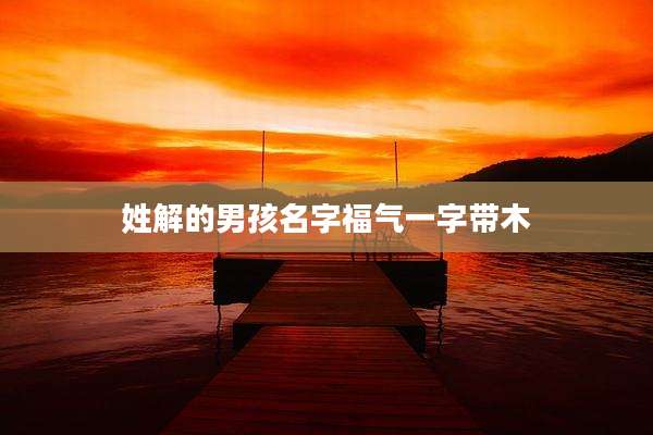 姓解的男孩名字福气一字带木